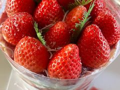 -Dark Horse·黑马蛋糕·低脂·低糖淡奶(金匙望湖大厦店)