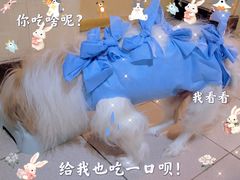 -美联众合动物医院·24h转诊中心