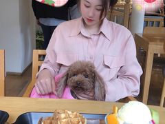 -猫的天空之城概念书店(苏州平江店)