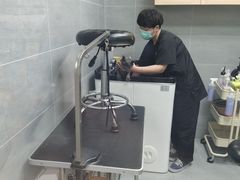 -康乐宝动物医院