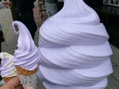 -富田农场