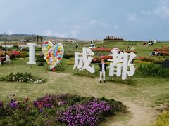 -空港花田景区