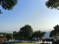 -铁山坪森林公园