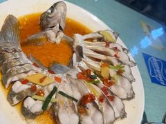孔雀开屏鱼-西塘人家•黑金冠本地好店