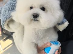 -心仪动物医院·牙专科·肿瘤·心脏科(西客站院)