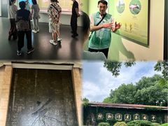 -中国茶叶博物馆(双峰馆区)