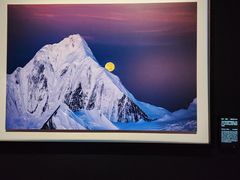 -罗红摄影艺术馆