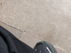 -香满楼(临安路店)