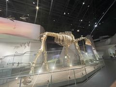 -武汉园博园(武汉自然博物馆)