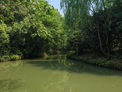 -同里国家湿地公园
