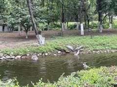 -长白岛森林公园