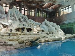 -帝企鹅自助餐厅•儿童岛•真企鹅(长隆企鹅酒店)