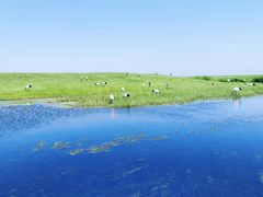 -黑龙江扎龙生态旅游区