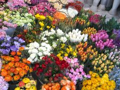 -双季花艺园艺市场(浦东店)