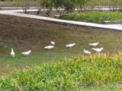 -白塘生态植物园