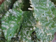 -南山民肴·乡土徽菜(豪辰俪景店)