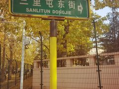 -三里屯东五街银杏大道