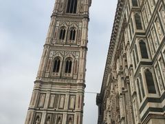 -圣母百花大教堂穹顶