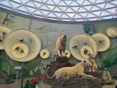 -陕西自然博物馆