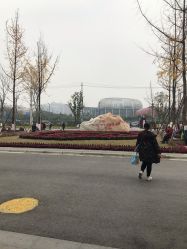 -成都市妇女儿童中心医院(中心院区)