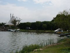 -上海都市菜园
