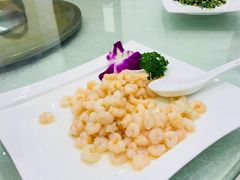 -梅龙镇酒家(南京西路总店)