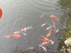 -杭州西湖柳莺里酒店