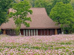 -良渚古城遗址公园