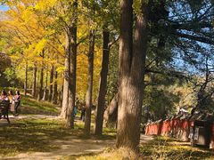 -阳台山自然风景区