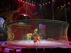 -珠海横琴长隆《卡卡虎奇遇记》