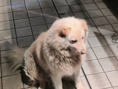 -肯德基(燕岭店)