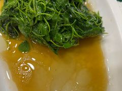 -抚顺美食·老上海味道