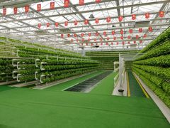 -兰陵国家农业公园