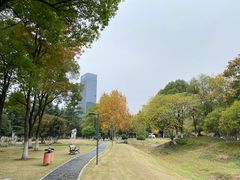 -后襄河公园