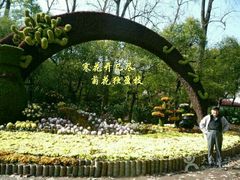 -宝安西湾红树林湿地公园