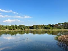 -福建鲤鱼洲酒店