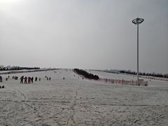 -呼兰河口湿地公园