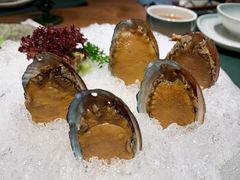 手工冰镇鲍鱼-木棉·醉心粤味(COCO Park店)