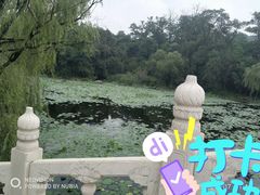 -二一九公园