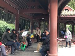 -望江楼公园