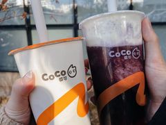 -CoCo都可(广丰月兔广场店)