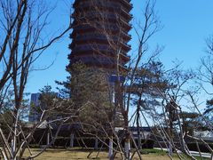 -西海子公园