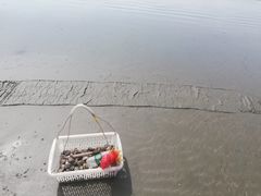 -江山半岛白浪滩景区