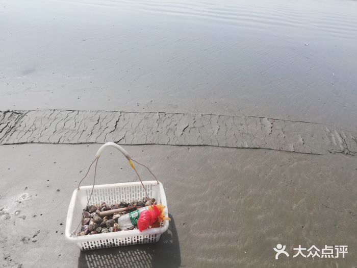 江山半岛白浪滩景区图片