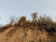 -樱桃沟景区