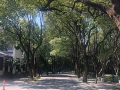 -东湖落雁景区