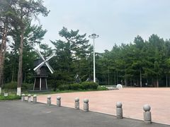 -黑龙江省森林植物园