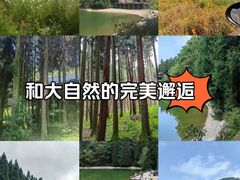 -武陵山森林公园