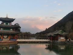 -黑龙潭公园