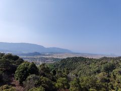 -南丹山森林王国
